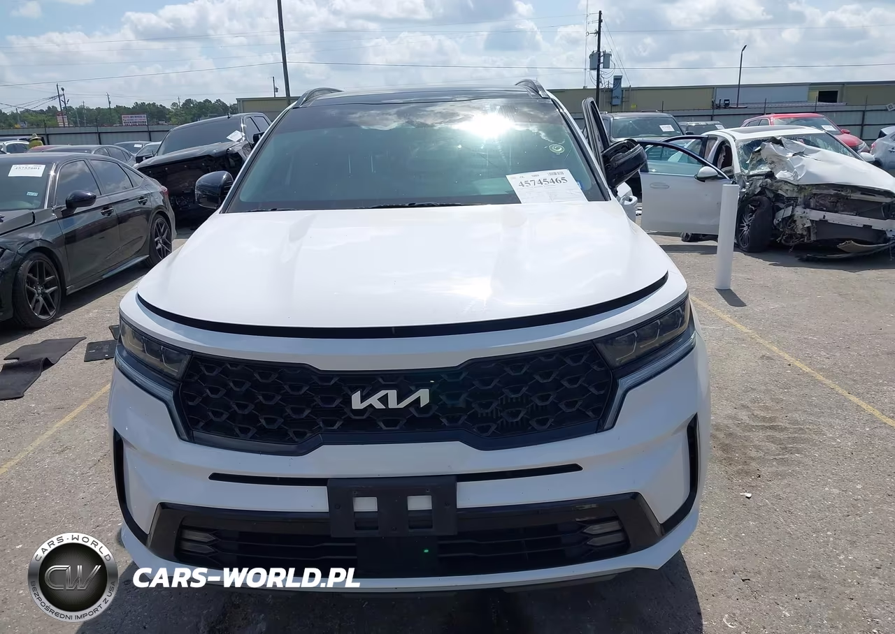2023 Kia Sorento Sx VIN:5XYRKDLF2PG251874 - 12