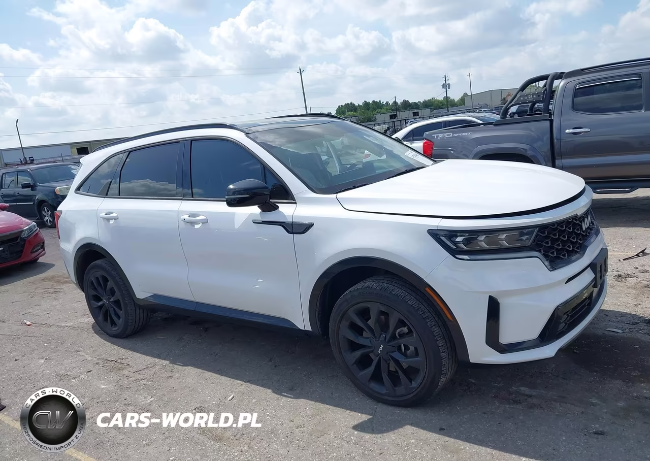 2023 Kia Sorento Sx VIN:5XYRKDLF2PG251874 - 13