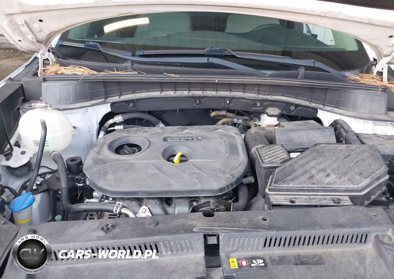 2017 Hyundai Tucson Se VIN:KM8J23A4XHU343335 - 10