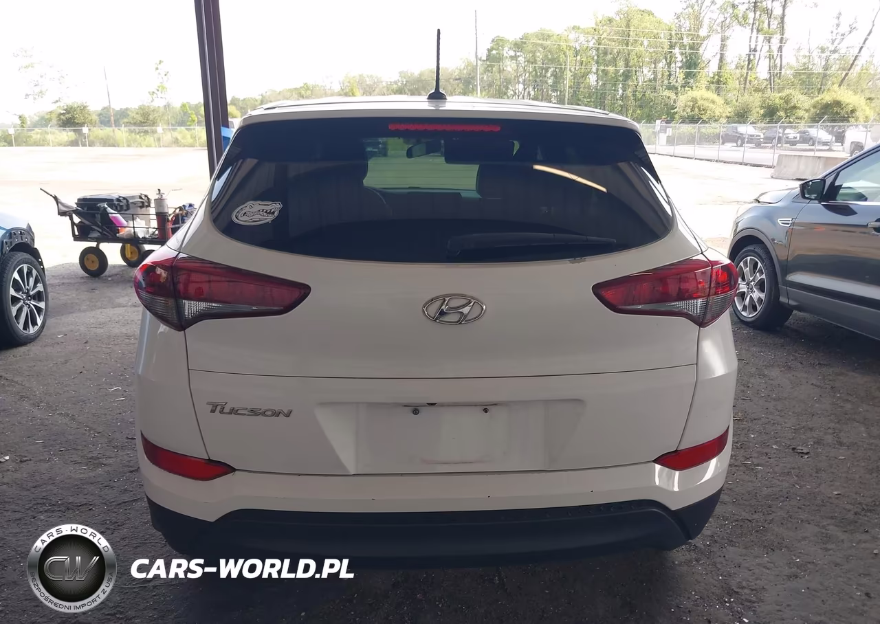 2017 Hyundai Tucson Se VIN:KM8J23A4XHU343335 - 16