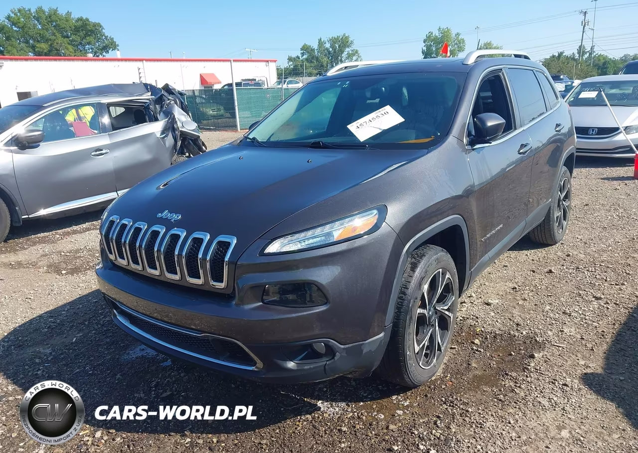 2014 Jeep Cherokee Limited VIN:1C4PJMDS6EW198098 - 12