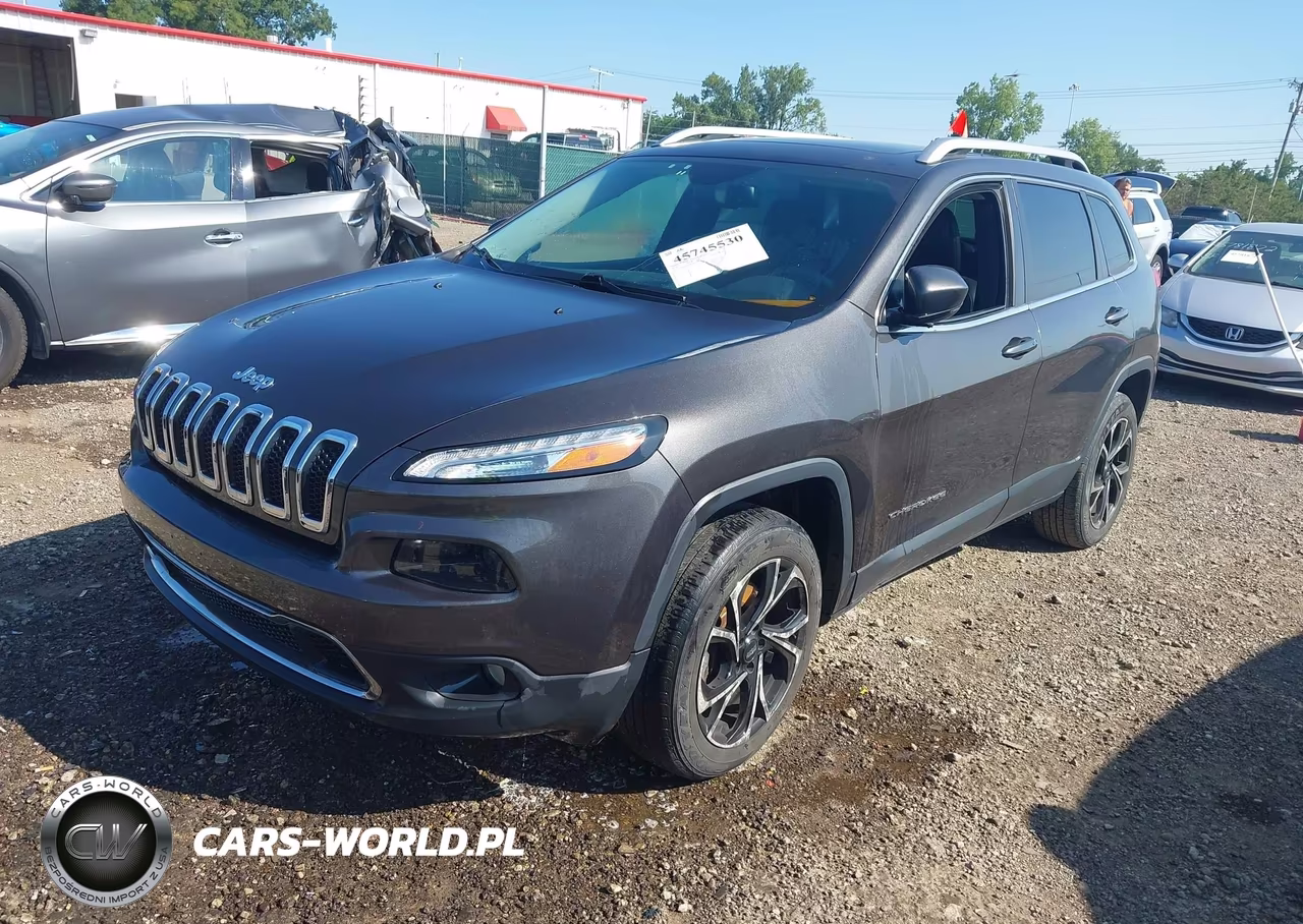 2014 Jeep Cherokee Limited VIN:1C4PJMDS6EW198098 - 2