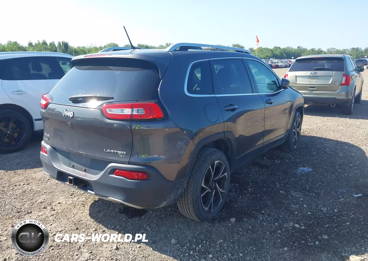2014 Jeep Cherokee Limited VIN:1C4PJMDS6EW198098 - 4