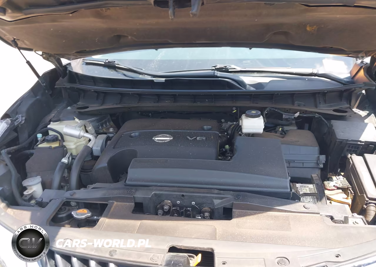 2016 Nissan Murano Platinum VIN:5N1AZ2MH4GN160266 - 10