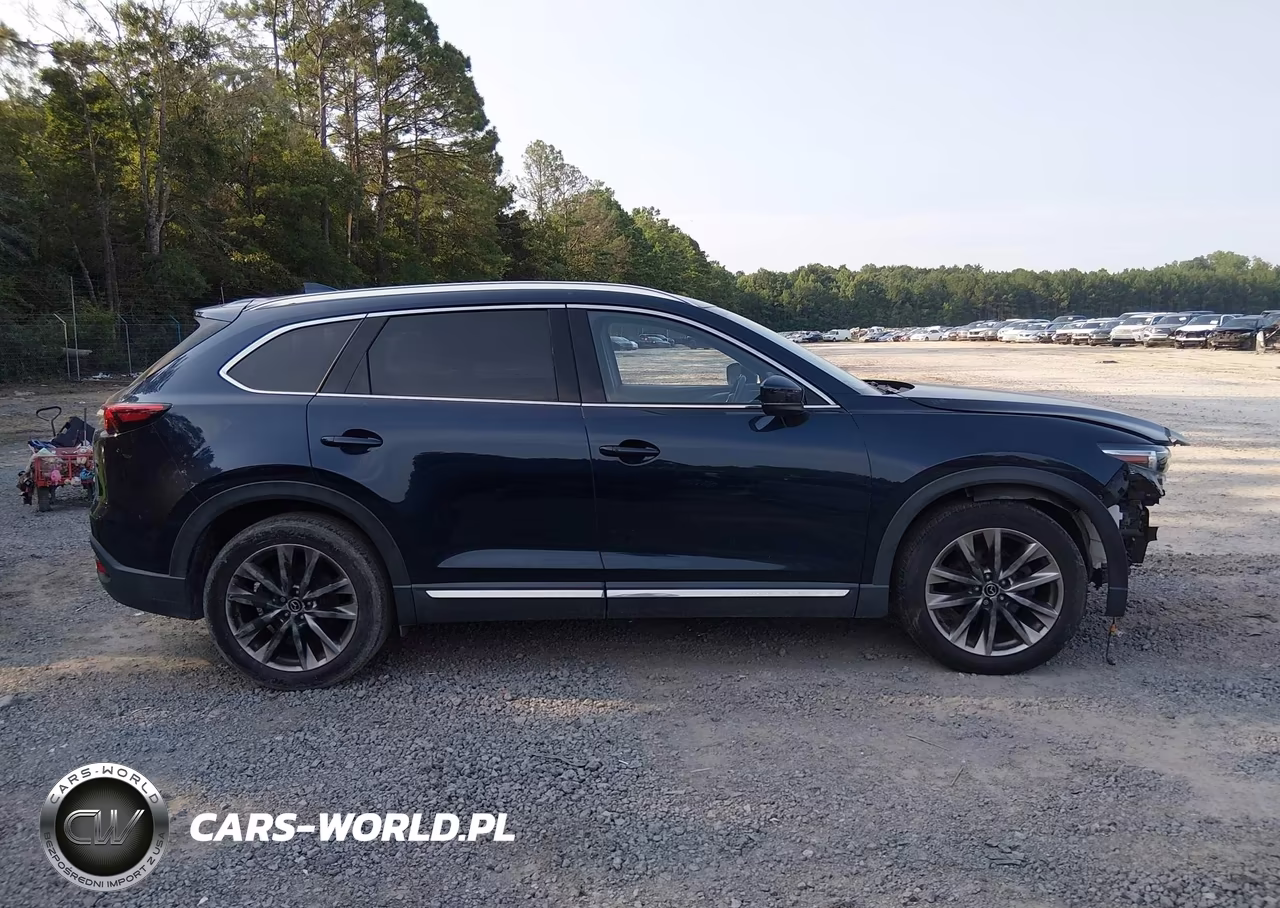 2016 Mazda Cx-9 Grand Touring VIN:JM3TCADY7G0114296 - 14