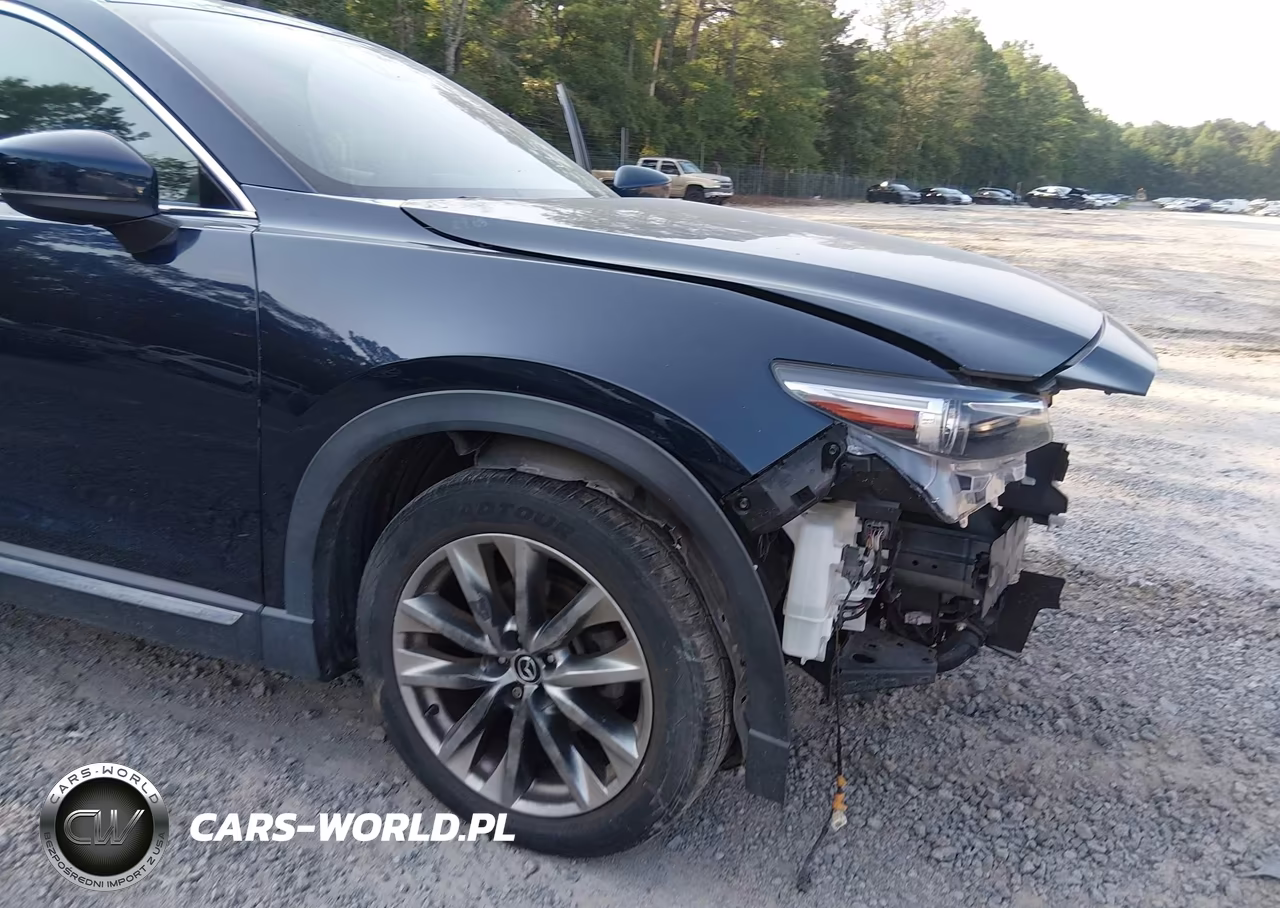 2016 Mazda Cx-9 Grand Touring VIN:JM3TCADY7G0114296 - 6