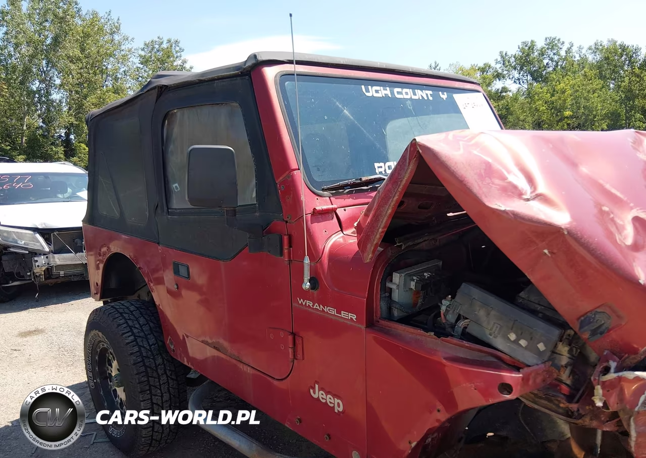 1998 Jeep Wrangler Se VIN:1J4FY29P2WP730257 - 13