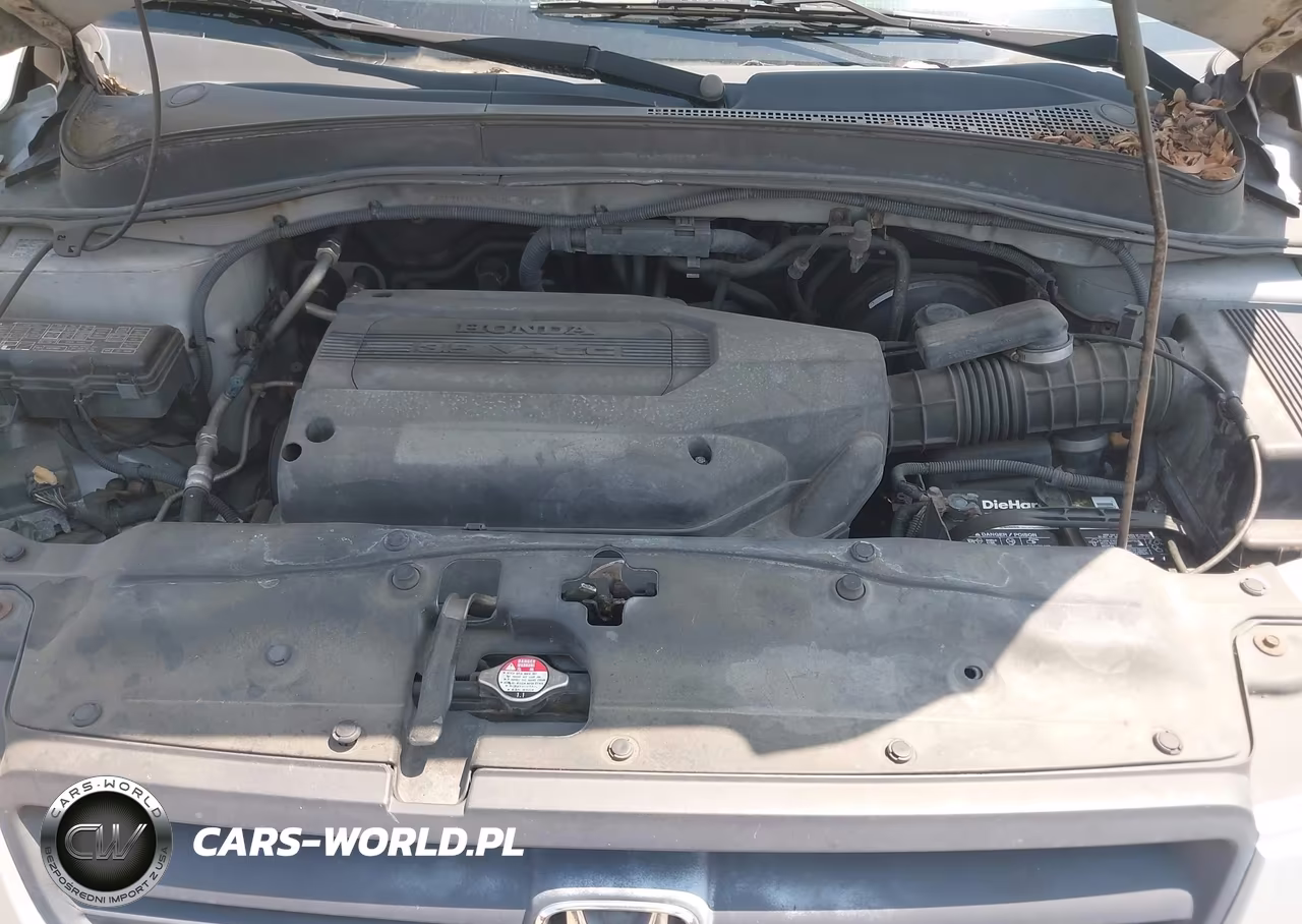 2004 Honda Pilot Ex VIN:2HKYF184948596538 - 10