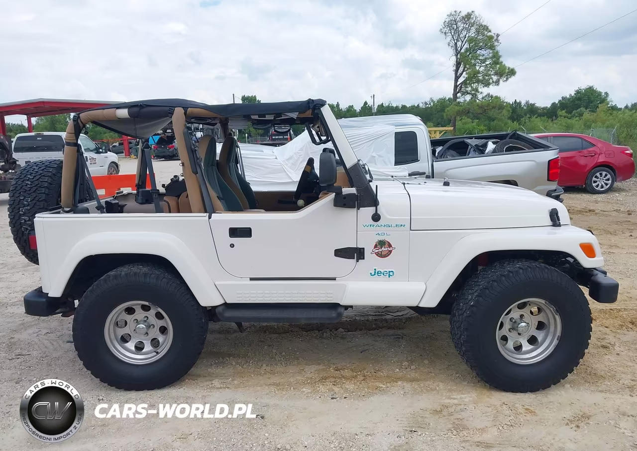 1998 Jeep Wrangler Sahara VIN:1J4FY49S9WP756807 - 13