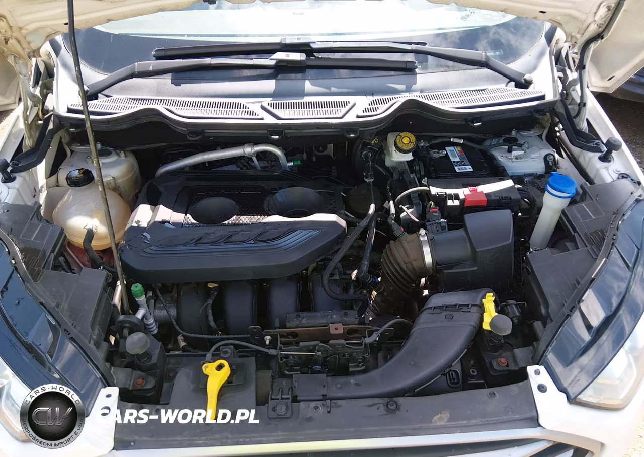 2019 Ford Ecosport Se VIN:MAJ6S3GL4KC289008 - 10