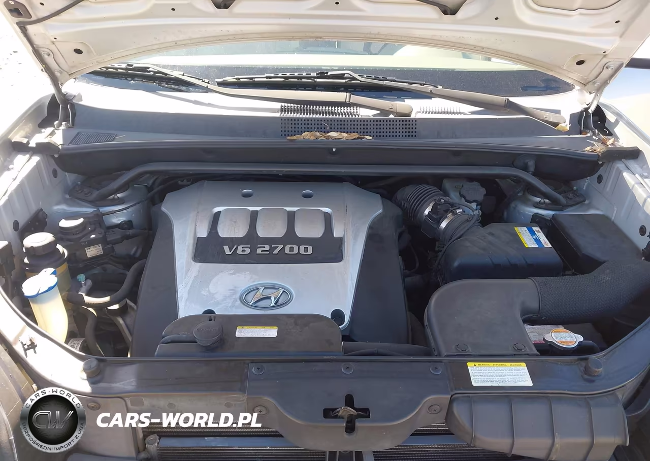 2007 Hyundai Tucson Limited-Se VIN:KM8JN12D67U489725 - 10