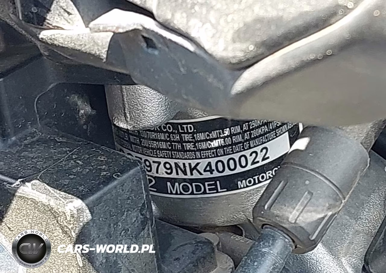 2022 Honda Gl1800 D VIN:JH2SC7979NK400022 - 10