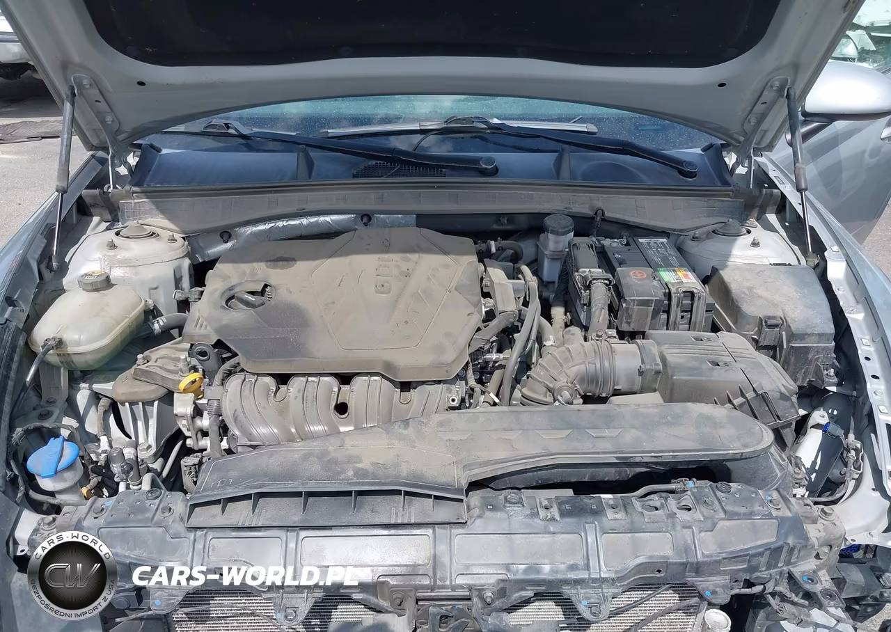 2021 Hyundai Sonata Se VIN:5NPEG4JA7MH072824 - 10