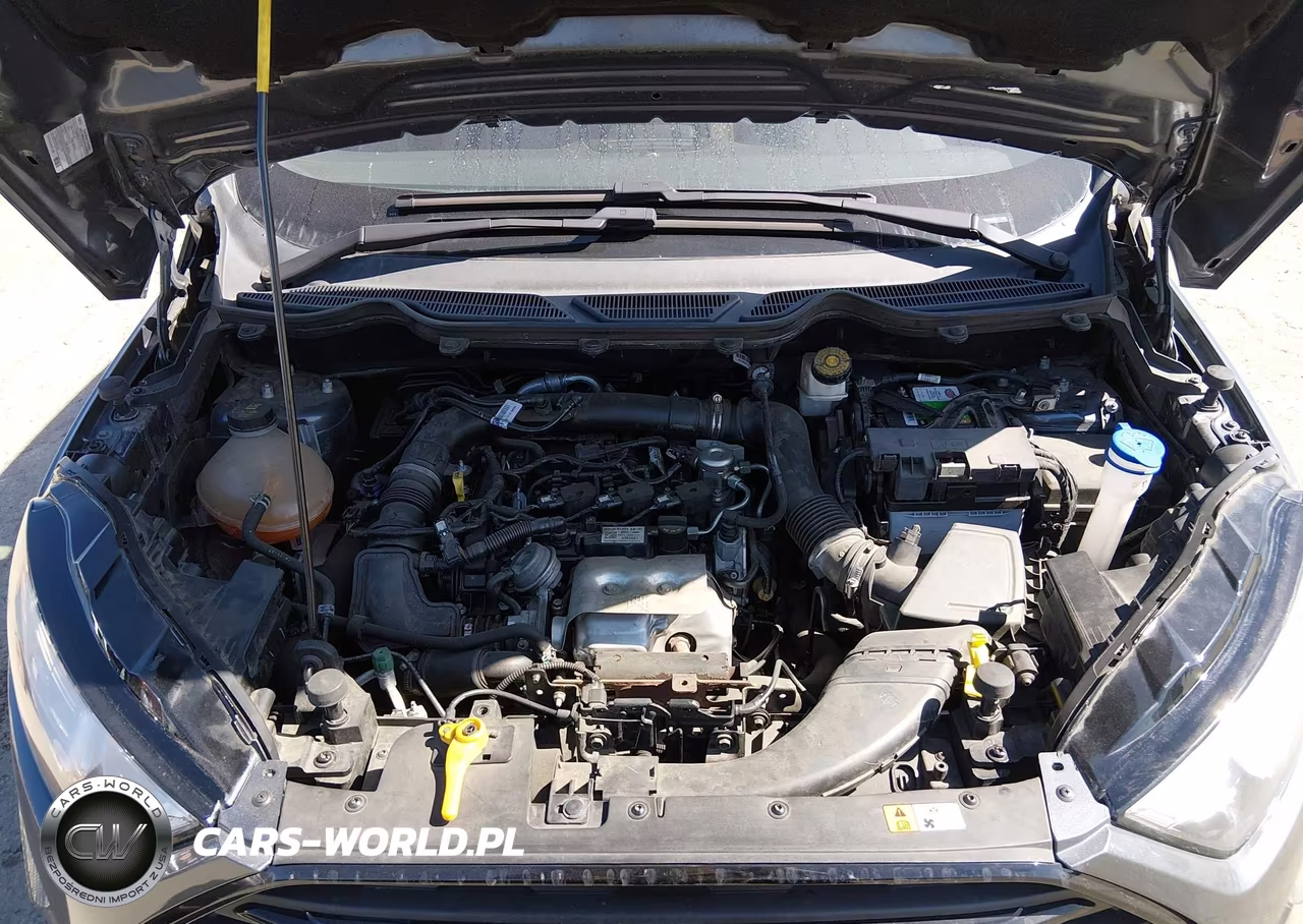 2021 Ford Ecosport S VIN:MAJ3S2FE4MC452615 - 10