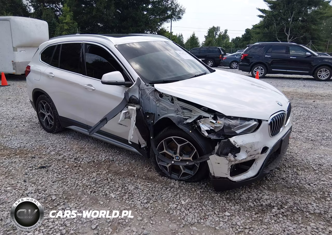 2018 BMW X1 Sdrive28I – zdjęcie 1 z 16