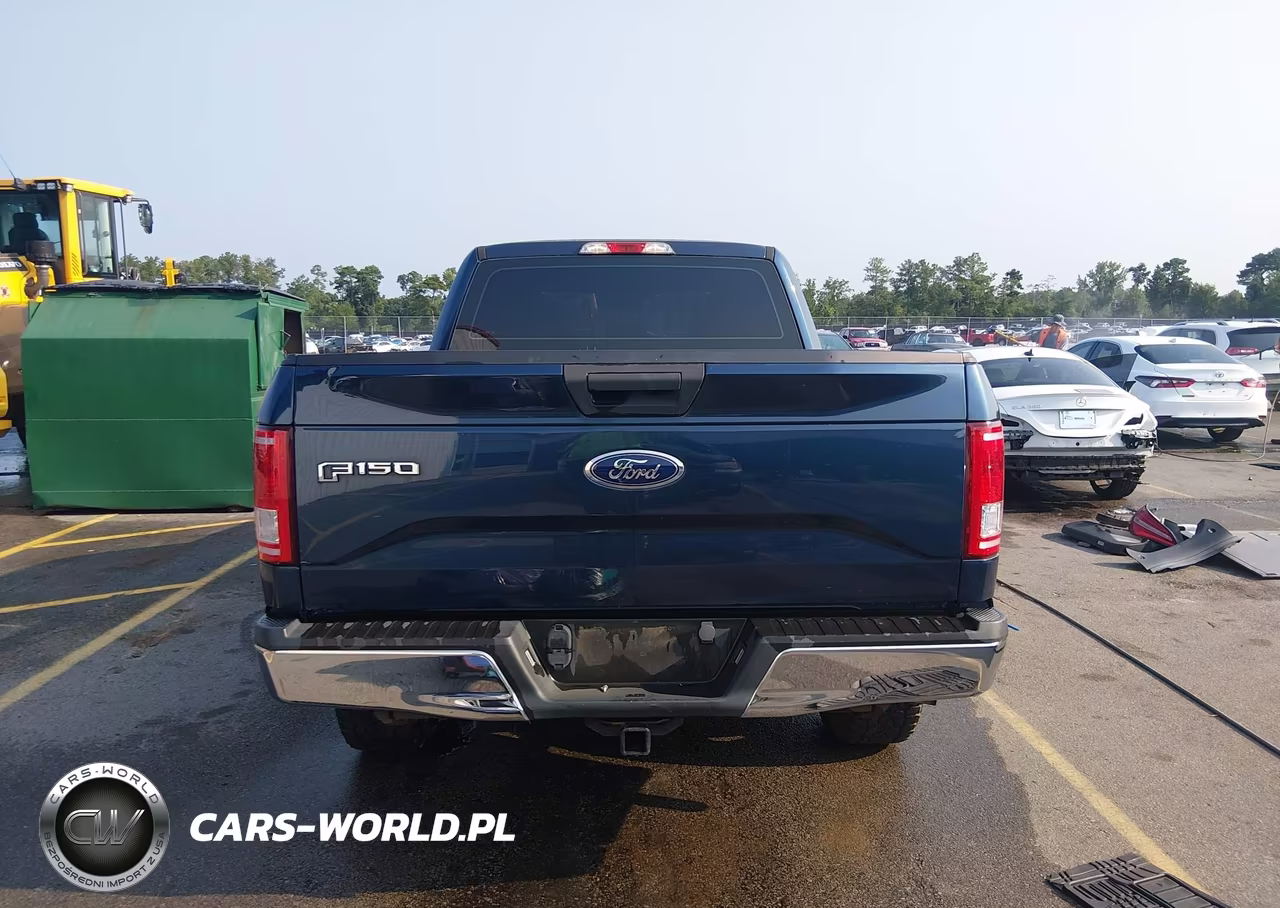 2017 Ford F-150 Xl VIN:1FTEX1EP3HFB91161 - 16