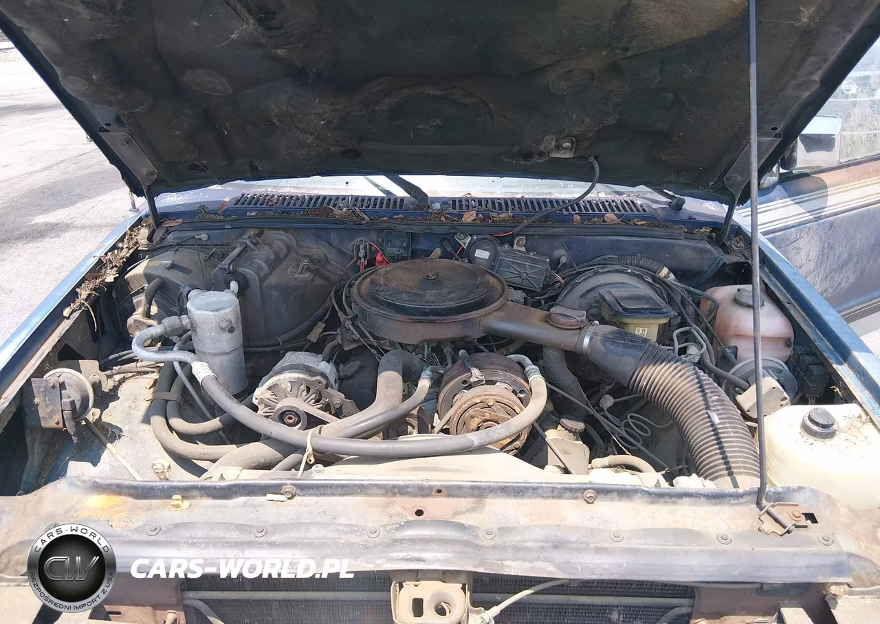 1988 Chevrolet S Truck S10 VIN:1GCDT19R1J8146409 - 10