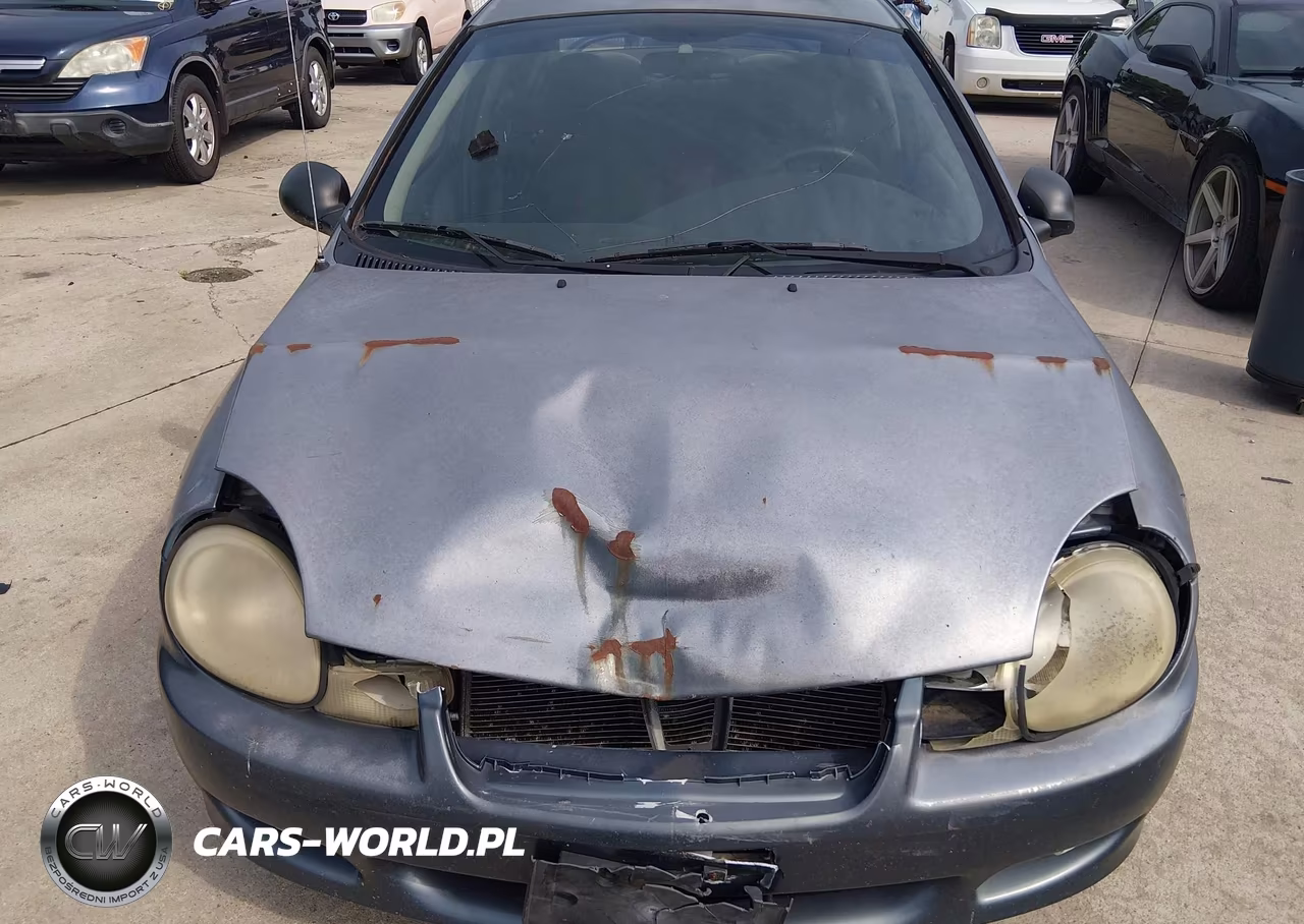 2002 Dodge Neon Sxt VIN:1B3ES56C12D604376 - 6