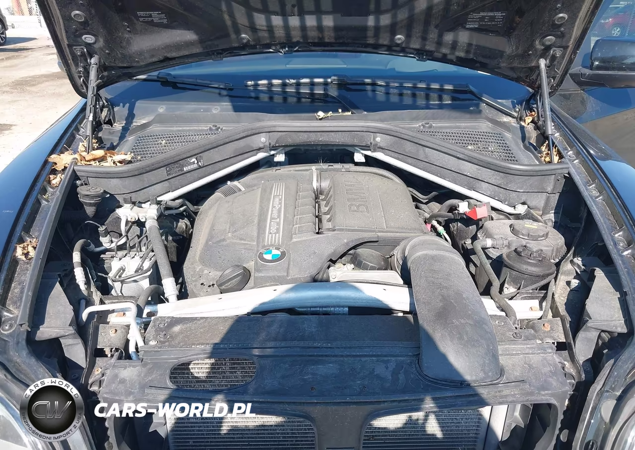 2014 BMW X6 xDrive35I VIN:5UXFG2C50E0H10307 - 10