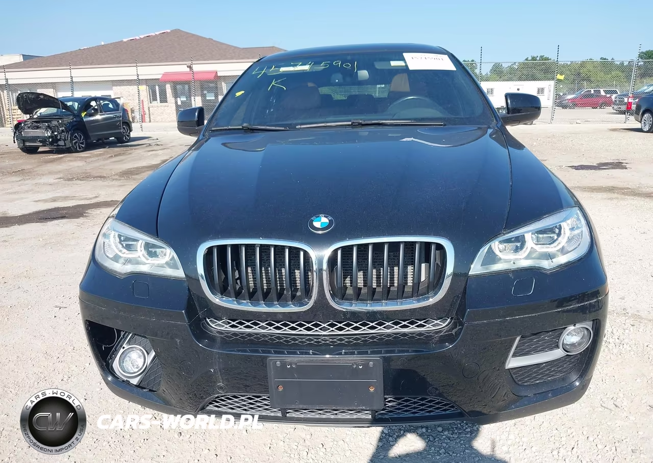 2014 BMW X6 xDrive35I VIN:5UXFG2C50E0H10307 - 12