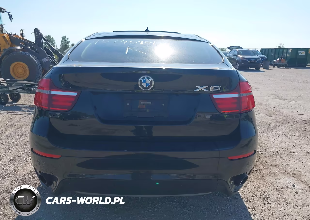 2014 BMW X6 xDrive35I VIN:5UXFG2C50E0H10307 - 16