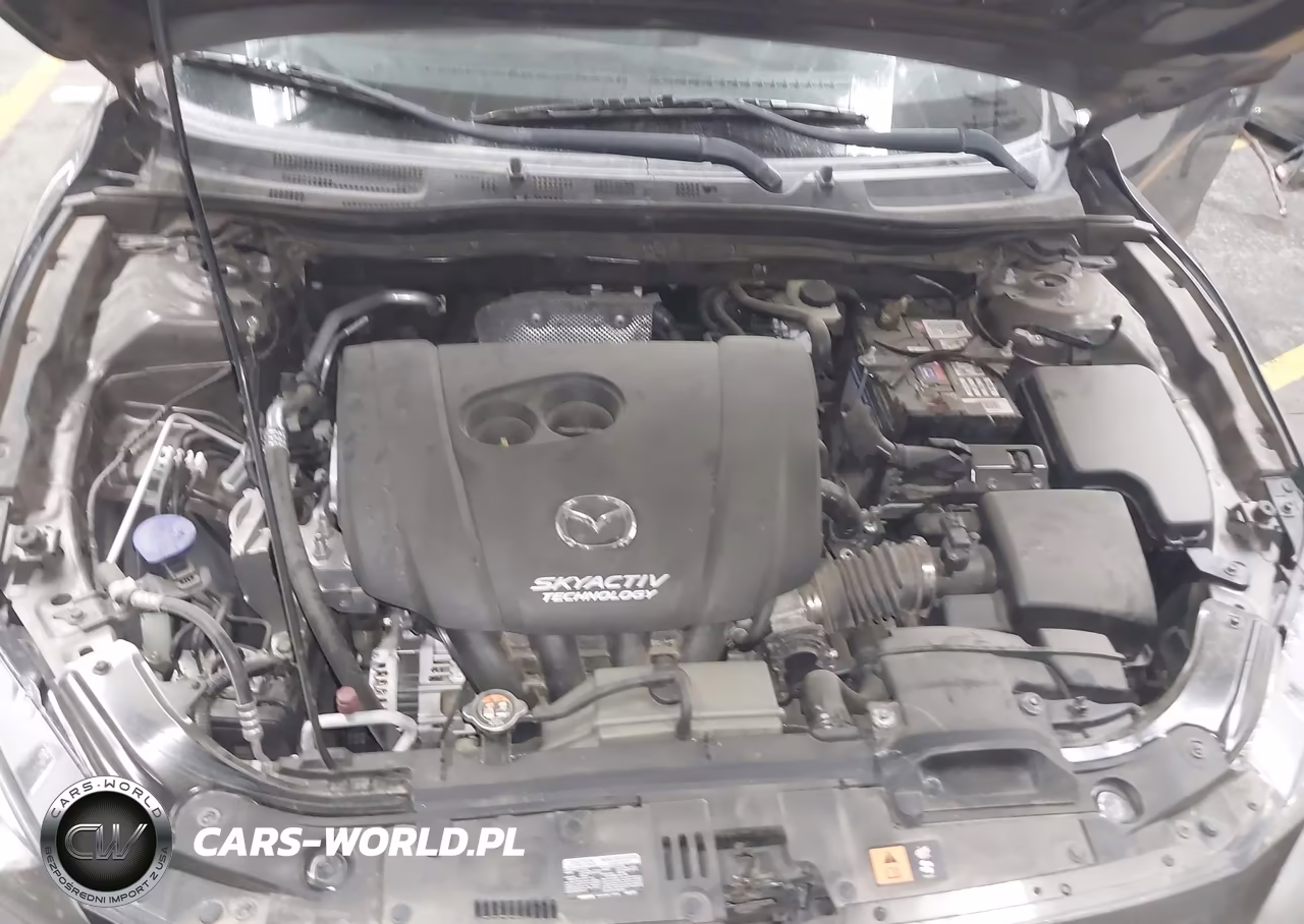 2014 Mazda Mazda3 I Sport VIN:3MZBM1U75EM116208 - 10
