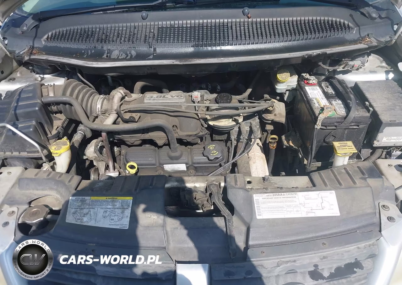 2005 Dodge Caravan Sxt VIN:2D8GP44LX5R354449 - 10
