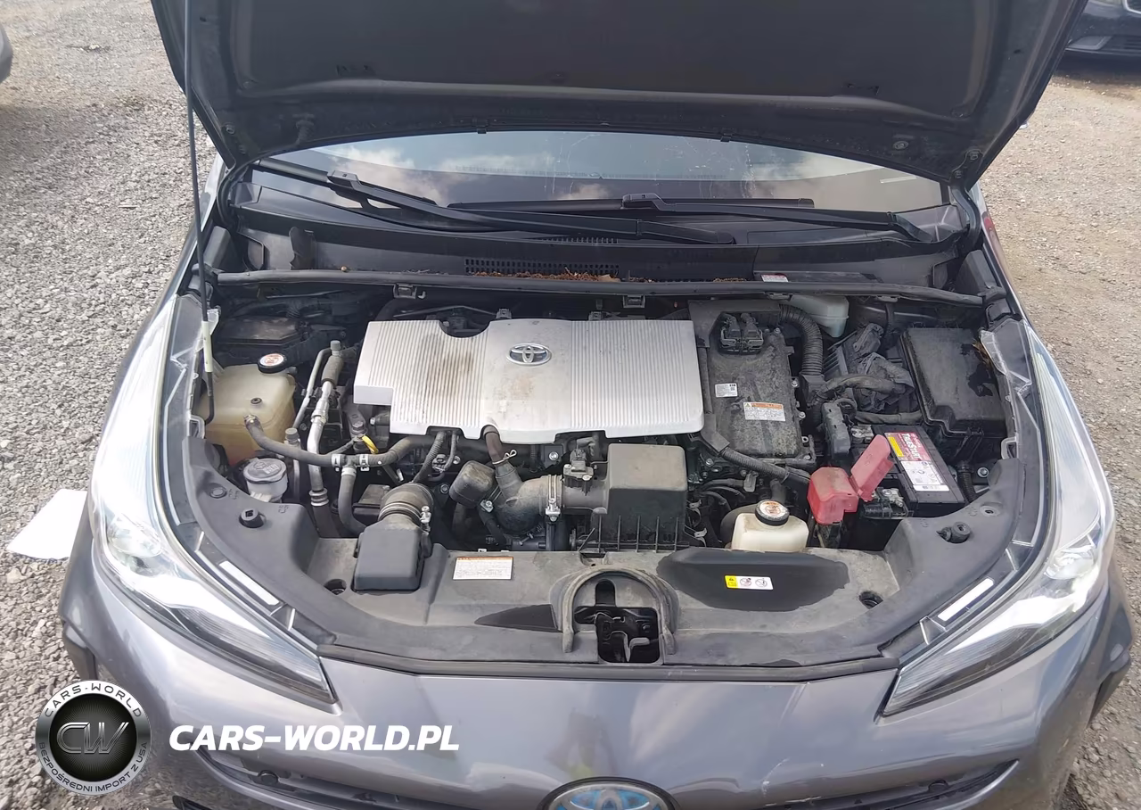 2019 Toyota Prius Limited VIN:JTDKARFU1K3072167 - 10