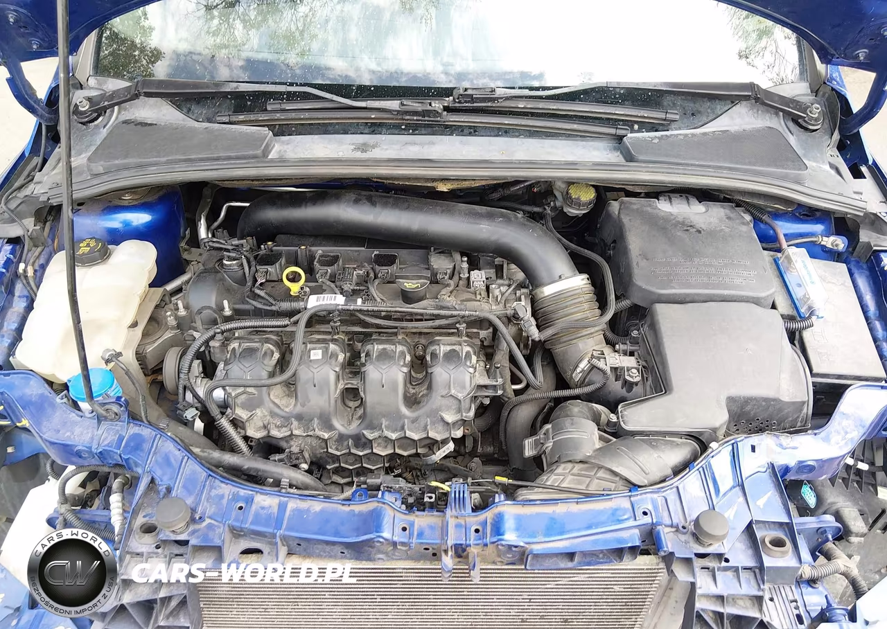 2014 Ford Focus St VIN:1FADP3L96EL373595 - 10