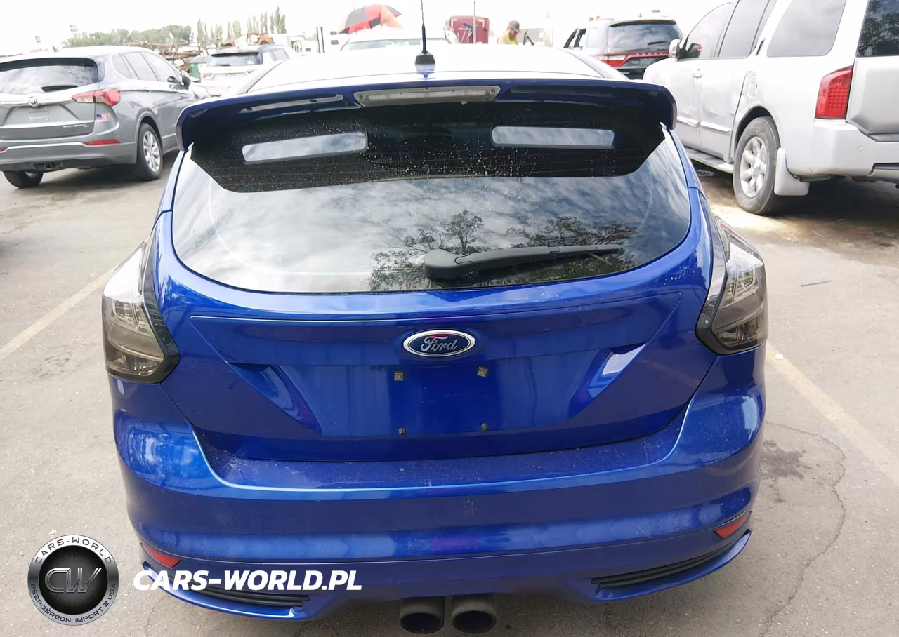 2014 Ford Focus St VIN:1FADP3L96EL373595 - 17
