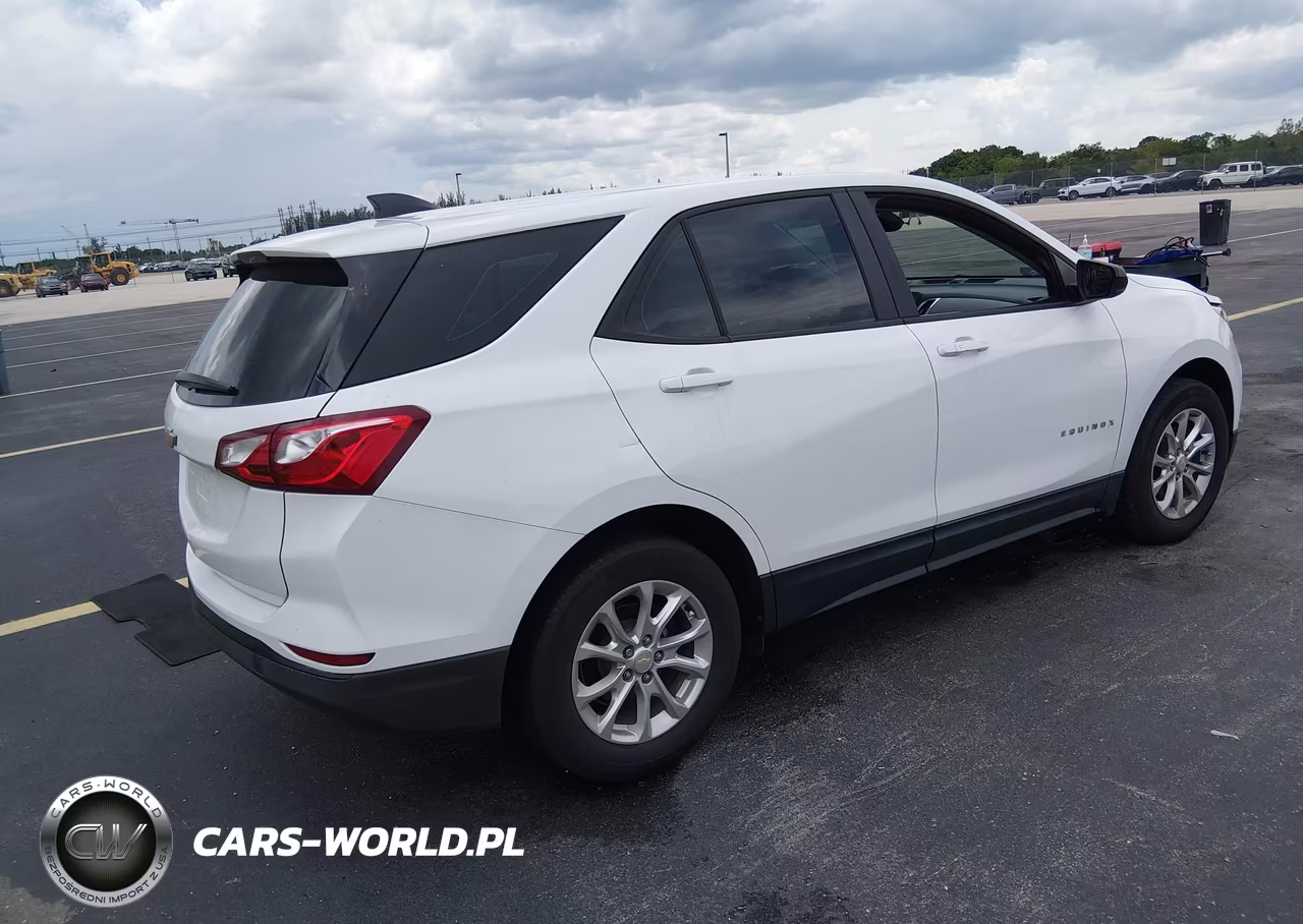 2020 Chevrolet Equinox Fwd Ls VIN:2GNAXHEV6L6240319 - 4