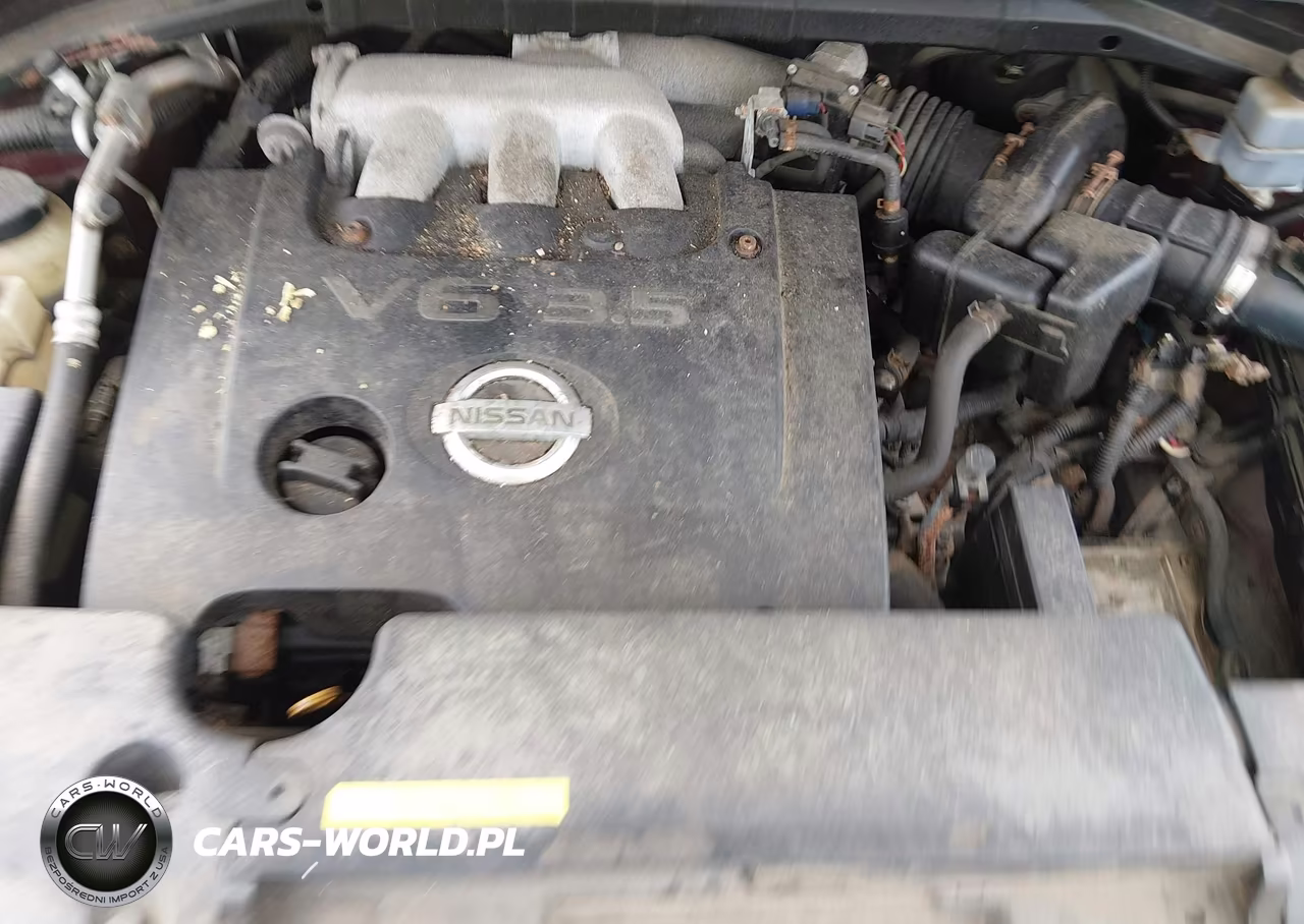 2006 Nissan Murano Sl VIN:JN8AZ08W56W538562 - 10