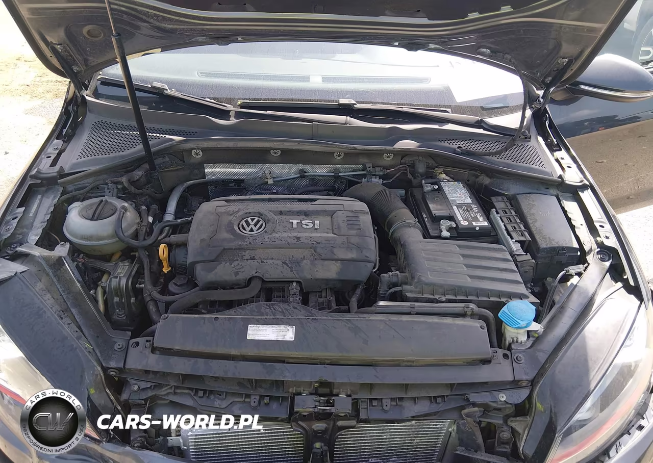 2017 Volkswagen Golf Gti Autobahn 4-Door-S 4-Door-Se 4-Door-Sport 4-Door VIN:3VW447AU0HM068188 - 10