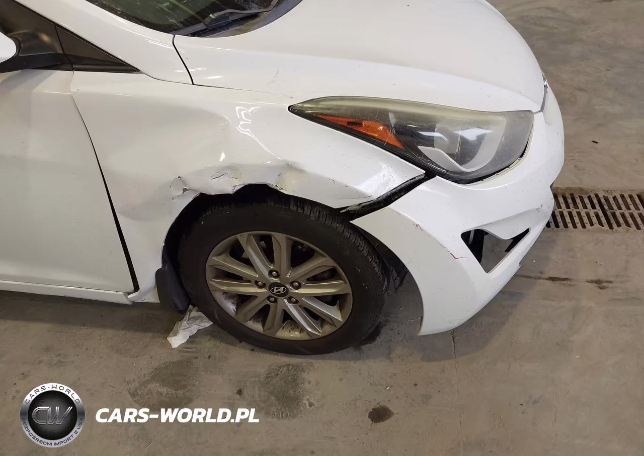 2015 Hyundai Elantra Se VIN:5NPDH4AE8FH629481 - 17