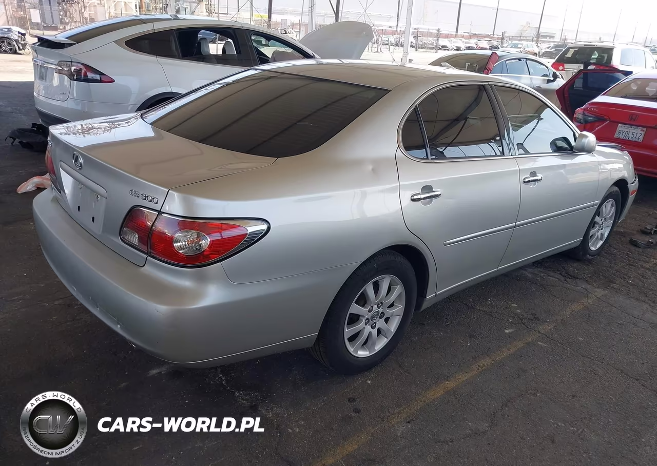 2003 Lexus Es 300 VIN:JTHBF30G836006831 - 4