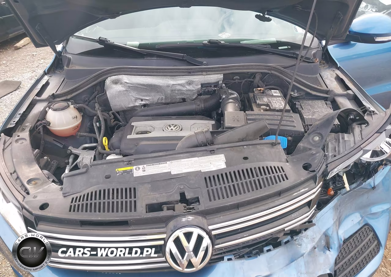 2017 Volkswagen Tiguan 2.0T-2.0T S VIN:WVGBV7AX2HK049419 - 10