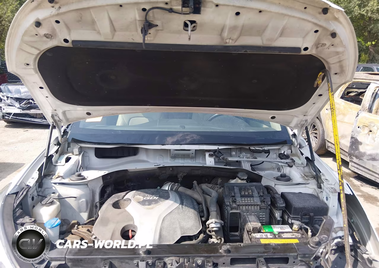 2014 Hyundai Santa Fe Sport 2.0L Turbo VIN:5XYZU3LA9EG216870 - 10