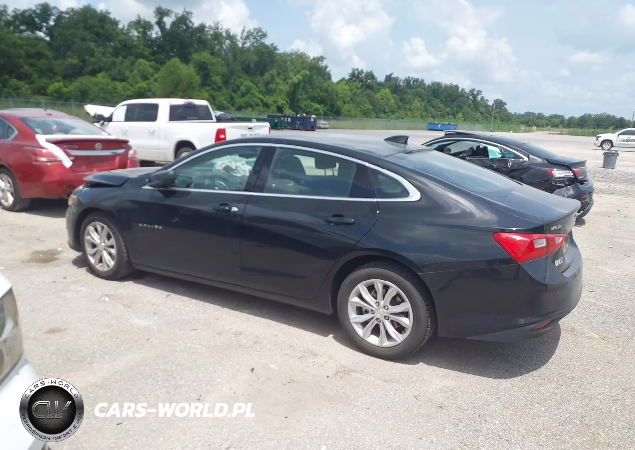 2024 Chevrolet Malibu Fwd 1Lt VIN:1G1ZD5ST1RF163520 - 14