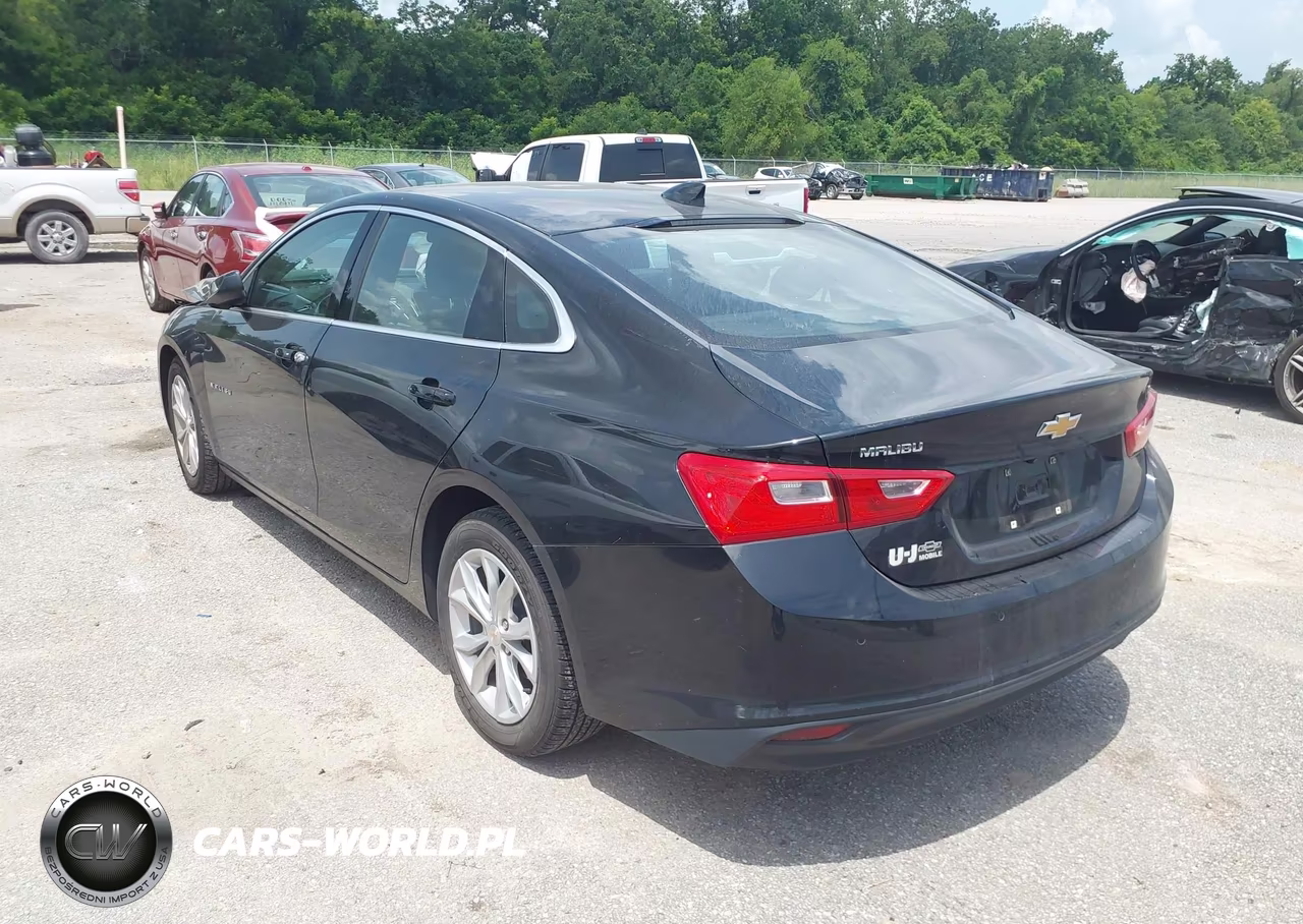 2024 Chevrolet Malibu Fwd 1Lt VIN:1G1ZD5ST1RF163520 - 3
