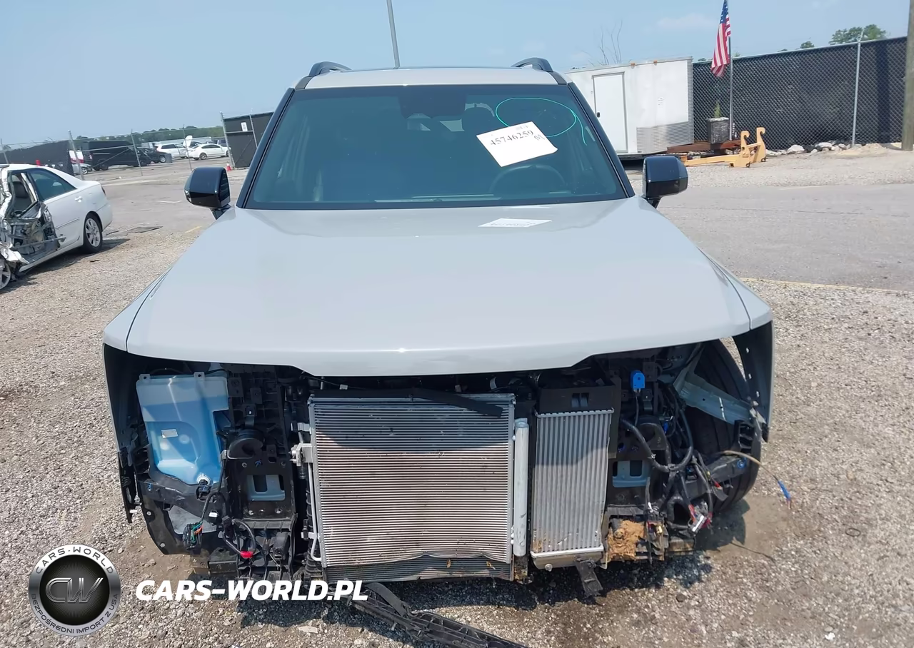 2027 Kia Telluride X-Line Ex VIN:5XYPCES19VG012724 - 12
