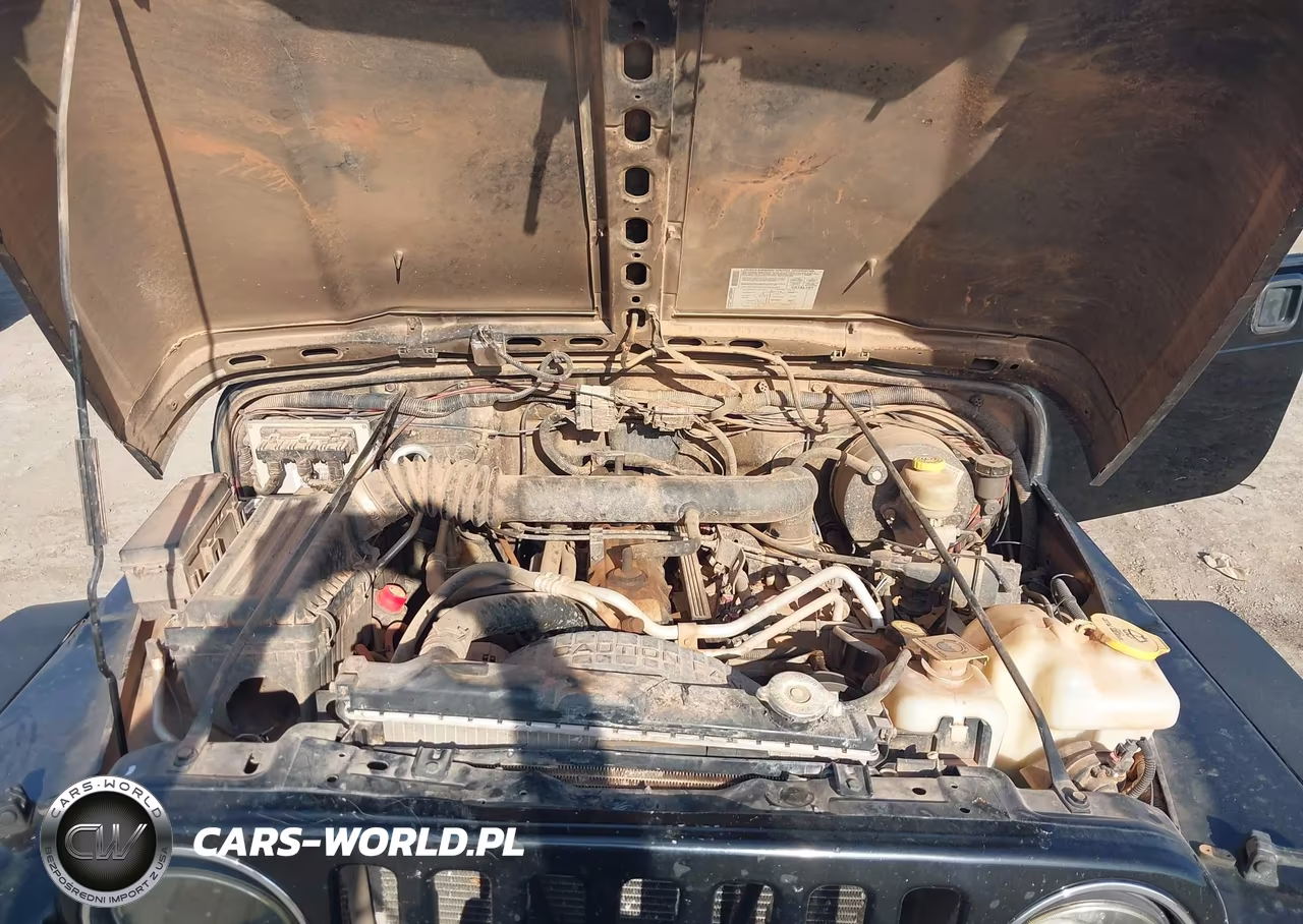 2004 Jeep Wrangler Rubicon VIN:1J4FA69S14P765630 - 10
