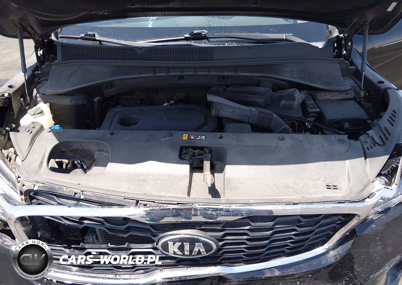 2019 Kia Sorento 2.4L L VIN:5XYPG4A36KG530562 - 10