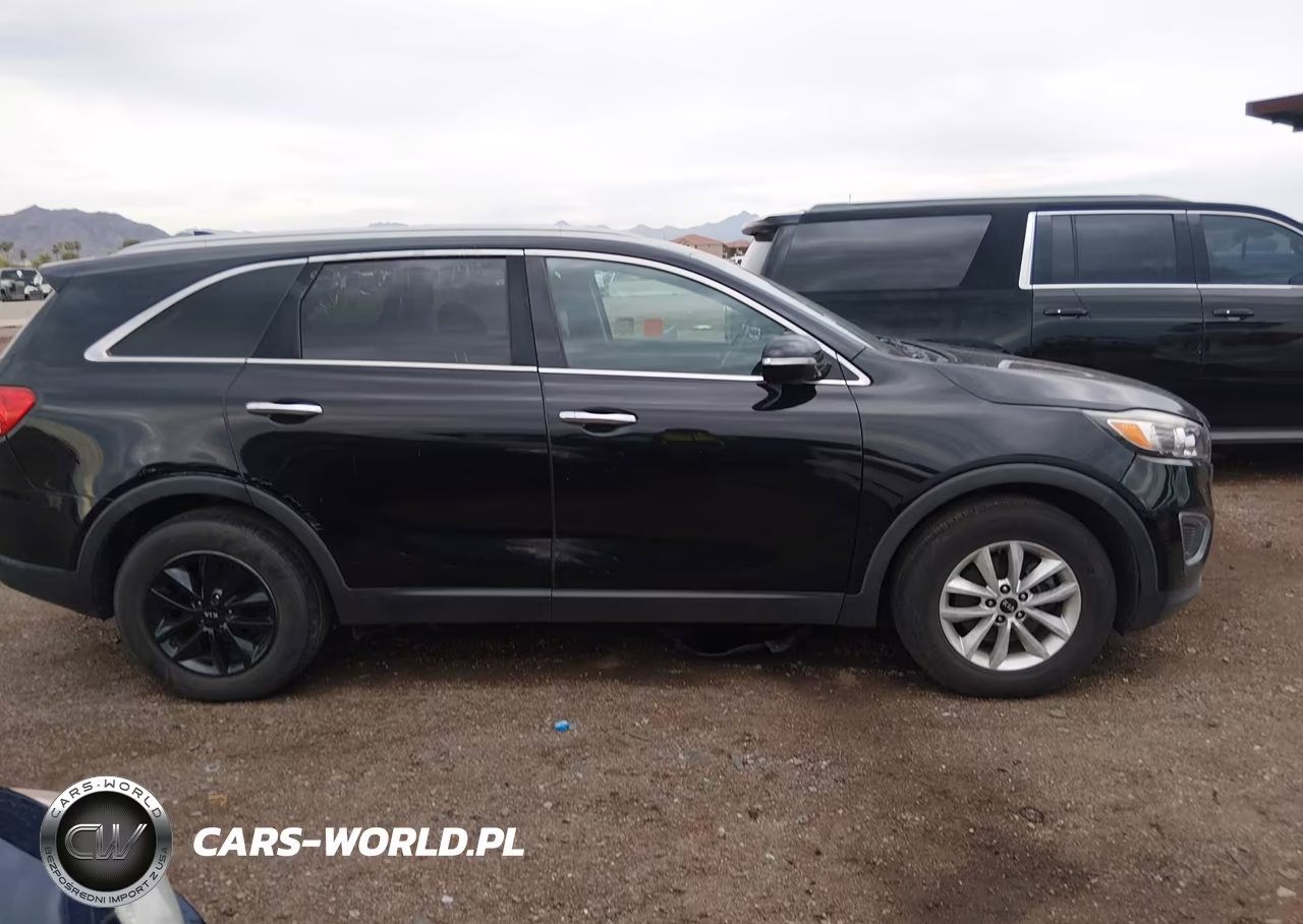 2018 Kia Sorento 2.4L Lx VIN:5XYPG4A31JG339632 - 13