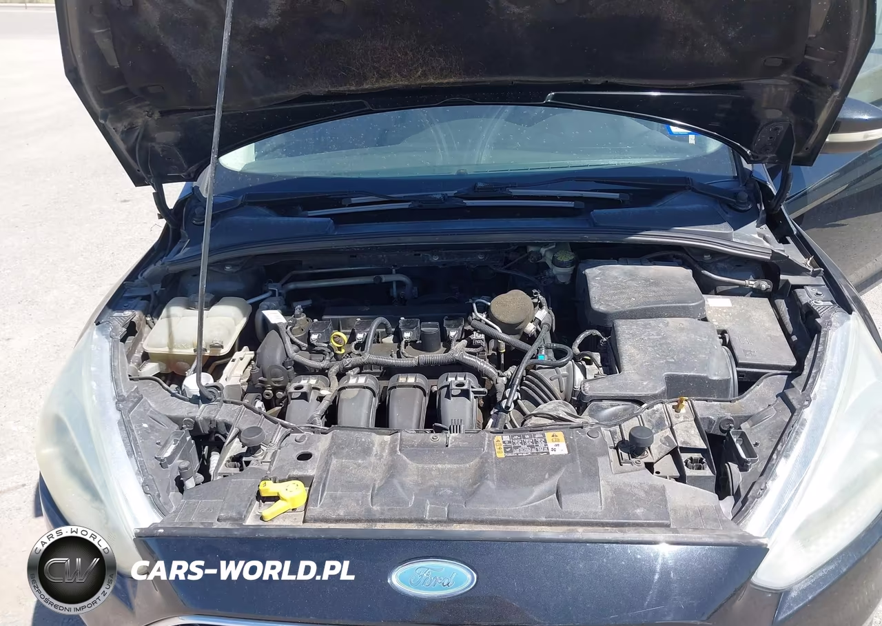 2015 Ford Focus Se VIN:1FADP3K26FL283482 - 10