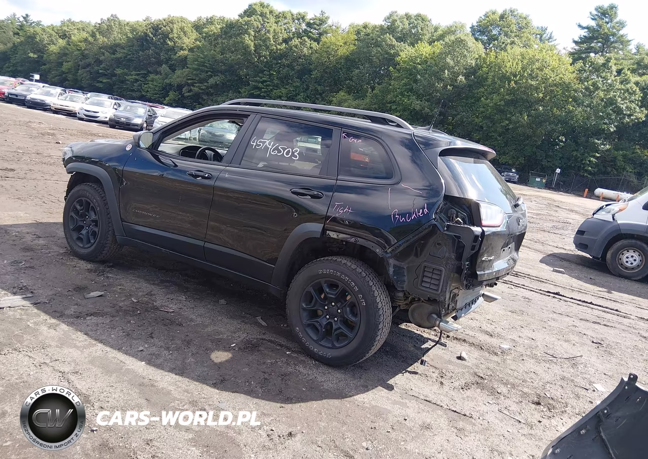 2020 Jeep Cherokee Trailhawk VIN:1C4PJMBX7LD558390 - 2