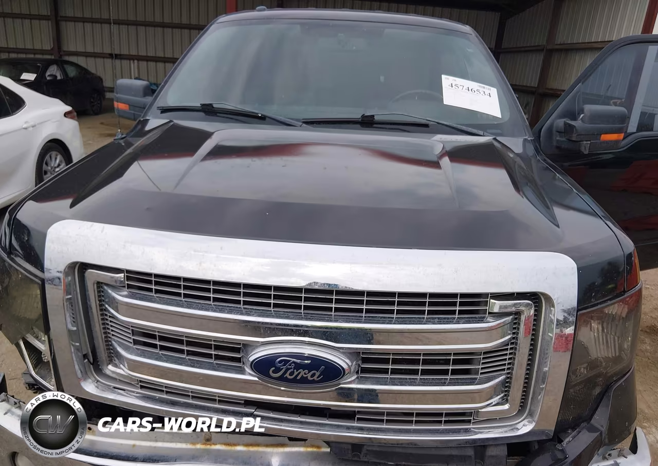 2013 Ford F-150 Xlt VIN:1FTFW1EF7DKE10929 - 10