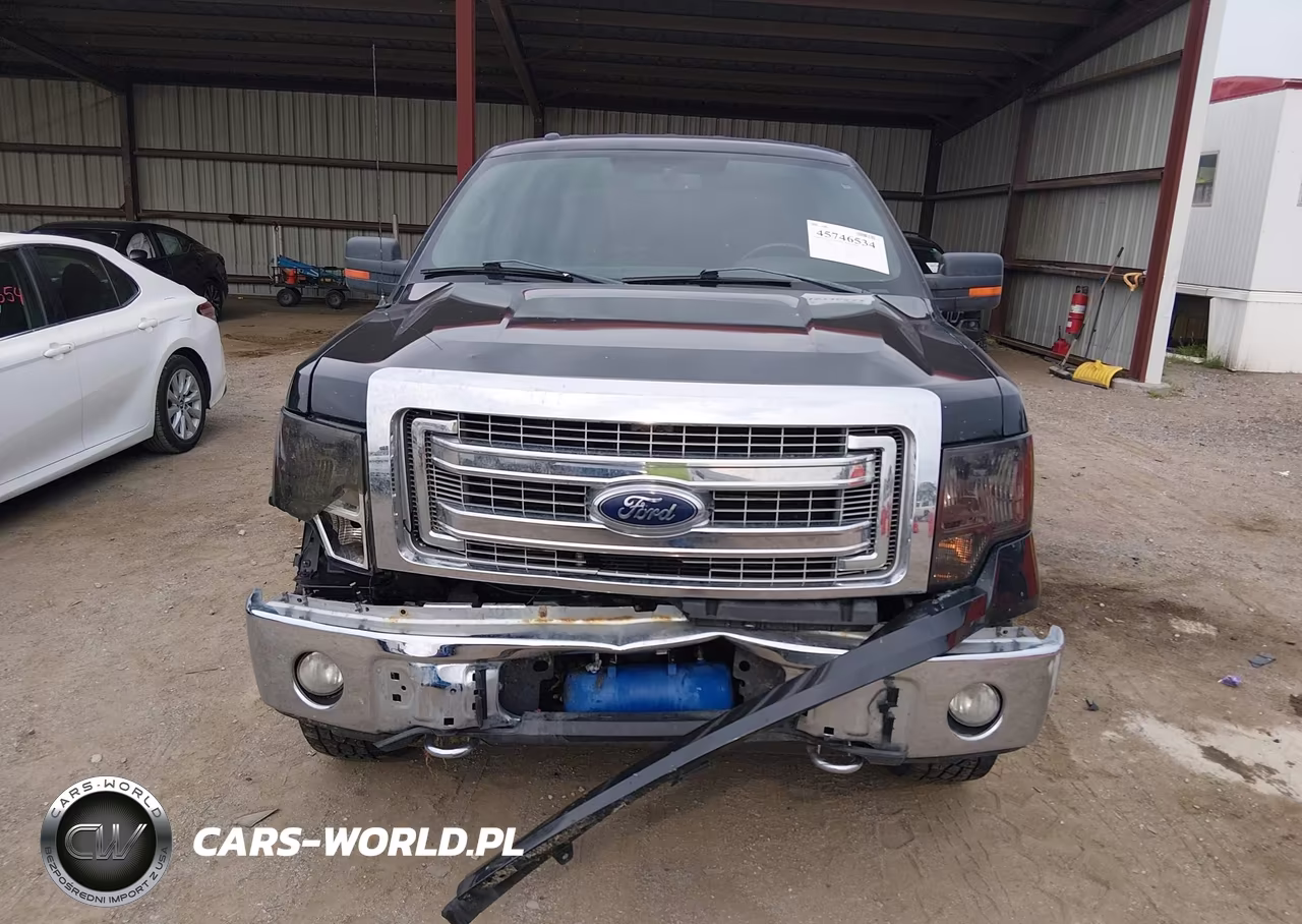 2013 Ford F-150 Xlt VIN:1FTFW1EF7DKE10929 - 12