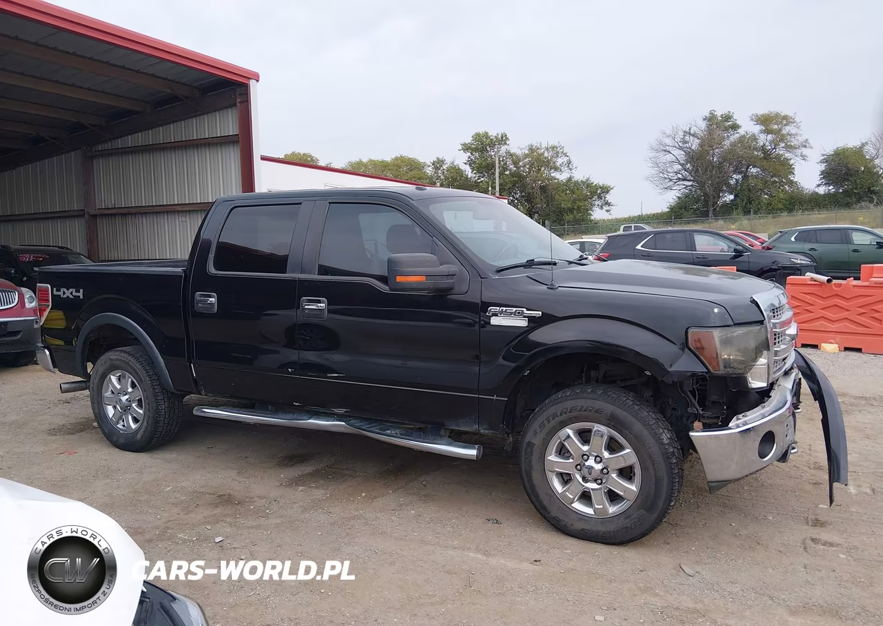 2013 Ford F-150 Xlt VIN:1FTFW1EF7DKE10929 - 13