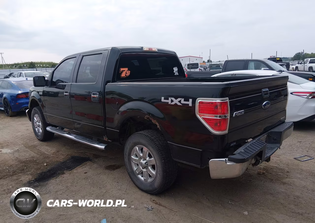 2013 Ford F-150 Xlt VIN:1FTFW1EF7DKE10929 - 3