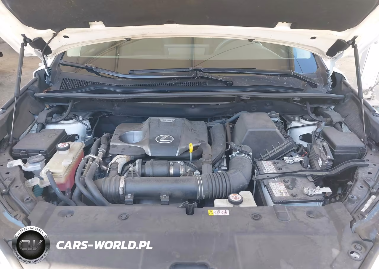 2019 Lexus Nx 300 VIN:JTJYARBZ2K2138806 - 10